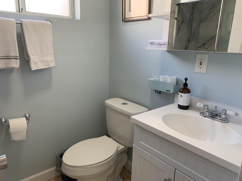 Sfo New Comfortable Studio Σαν Μπρούνο Εξωτερικό φωτογραφία